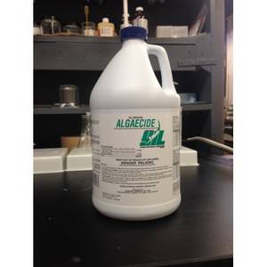 10 Percent Algaecide 1 Gal X 4 - BULK/SERVICE CHEMICALS